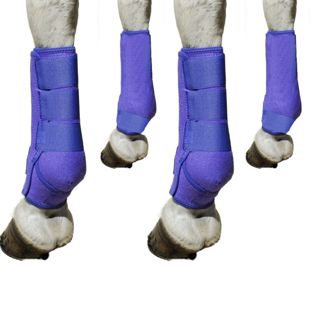 Brushing Boot Horse - 4-delige set kleurrijke paardensportlaarzen, 3 maten,