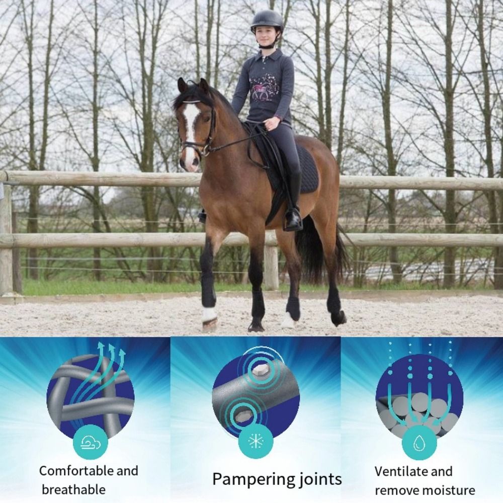 4-delige set kleurrijke paarde - Brushing Boot Horse recensie en prijs