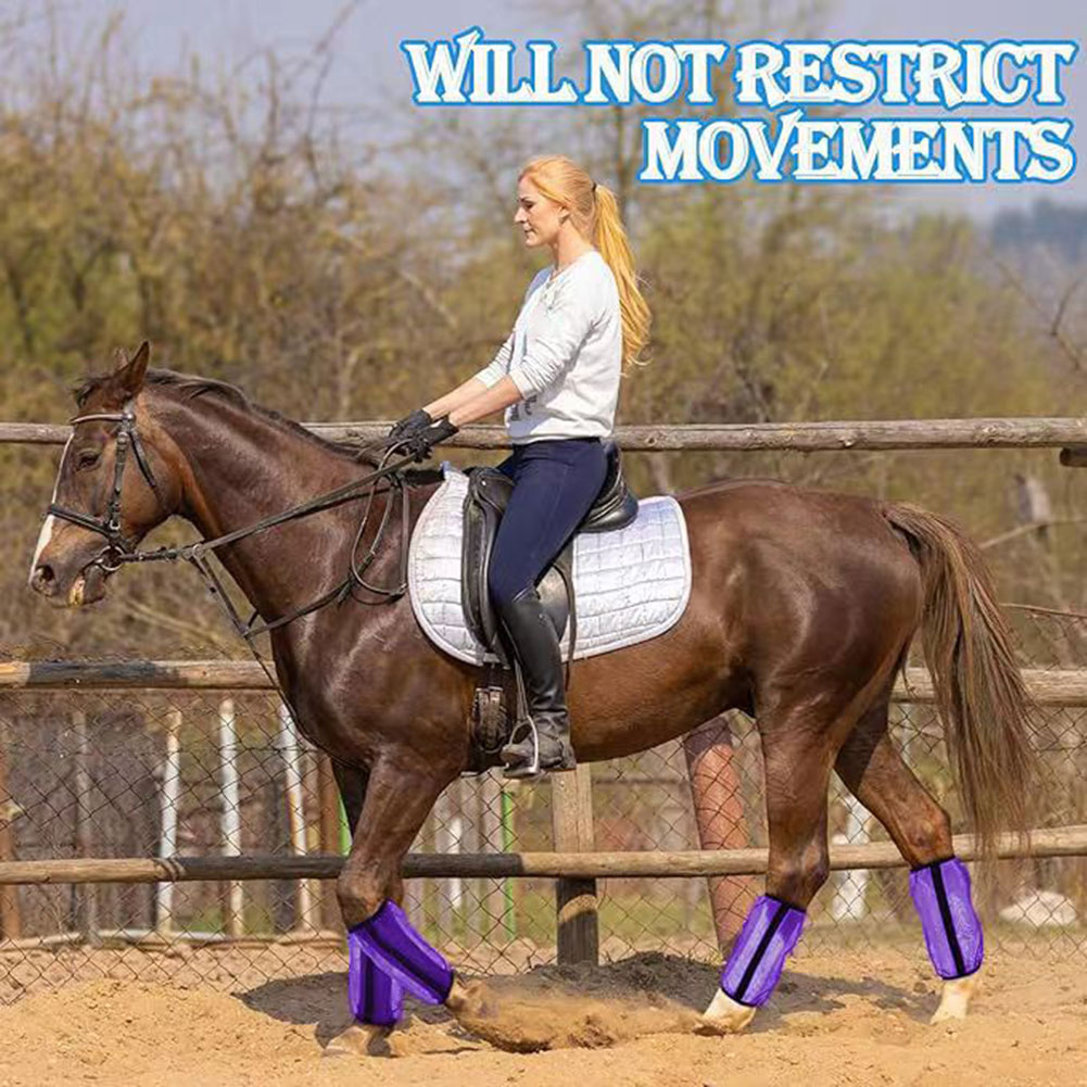 4 stuks mesh vliegenbeschermer - Brushing Boot Horse recensie en prijs